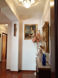 WhatsApp Image 2020-08-18 at 18.43.50 (1)